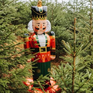 Nutcracker XXL